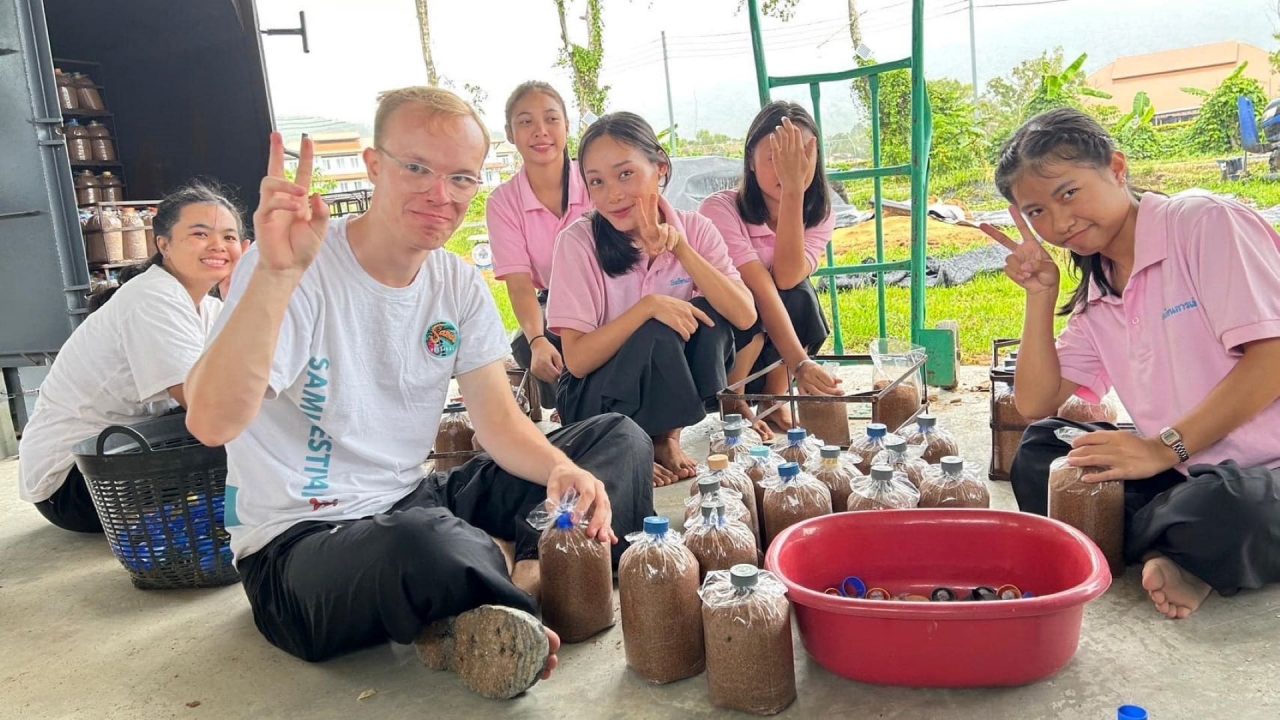 Mushroom cultivation